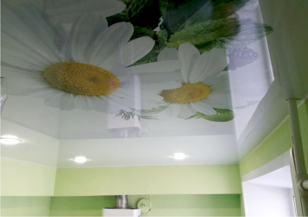 Натяжные потолки с фотопечатью в Барнауле